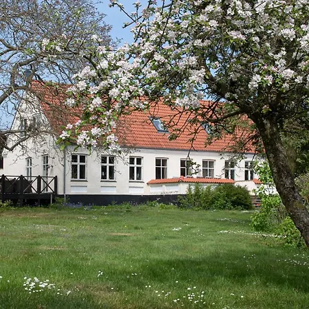 Feriehuset Ornereden Villa Ronne
